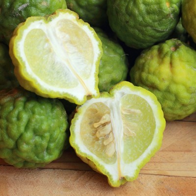 Bergamot